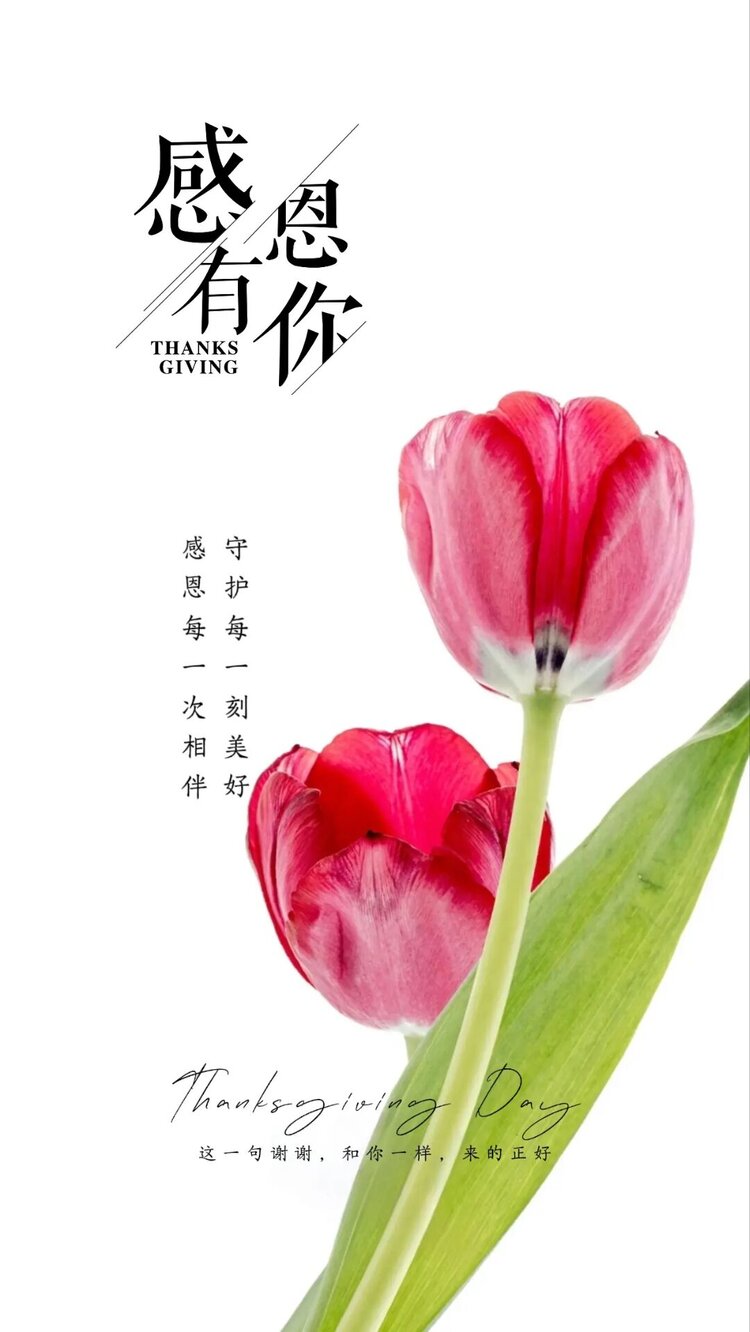 雪儿🎤V娱热点