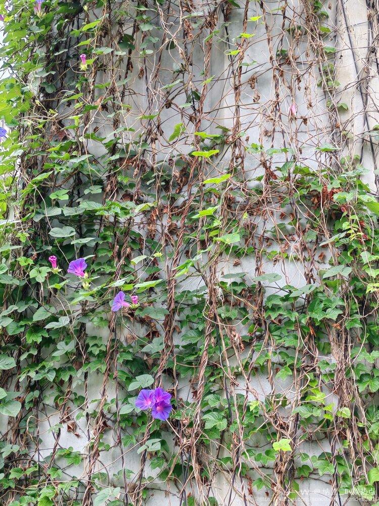 纳兰＿🎤V娱热点