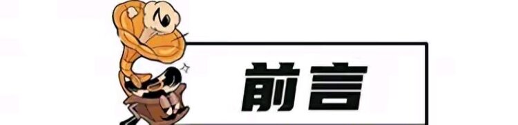 总编