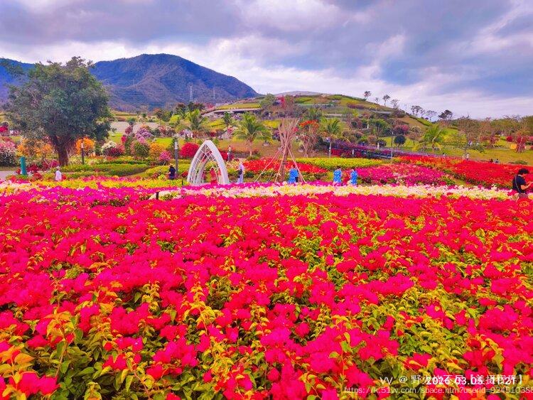 野火烧不尽【美摄视界】