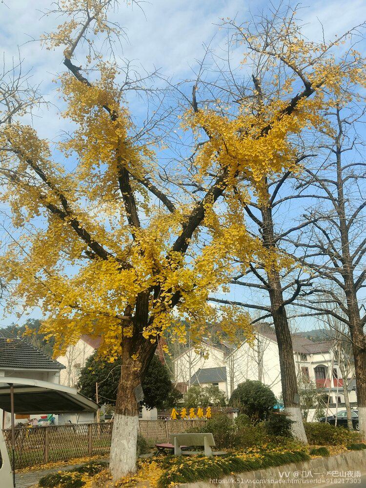 󾓭八一☆ᴶᴳ巴山夜雨
