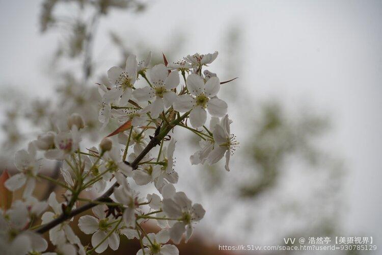 浩然亭【美摄视界】