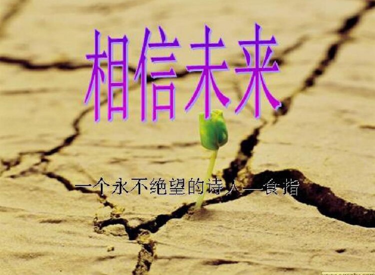 一剪梅
