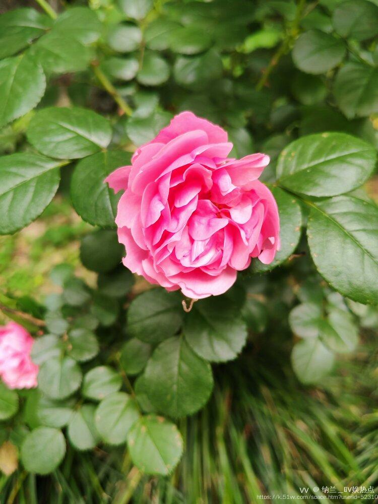 纳兰＿🎤V娱热点