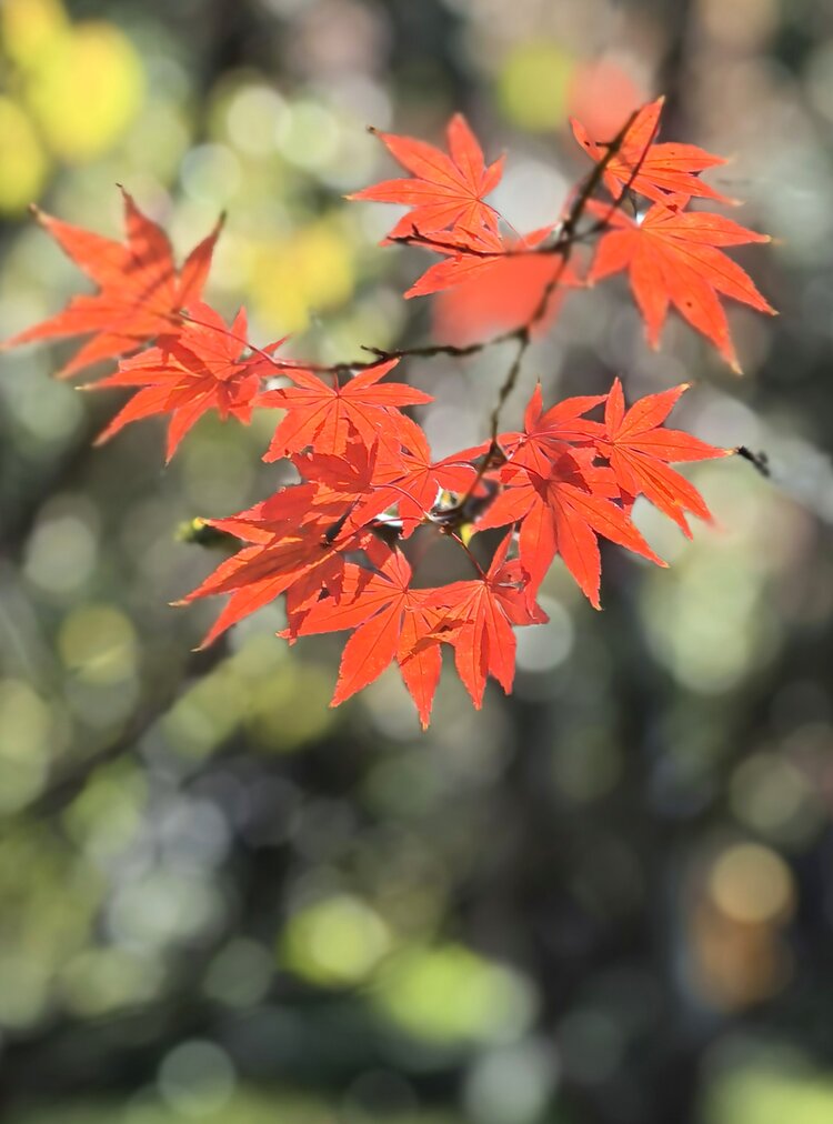 汤更生_小眼睛