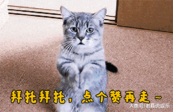客旅