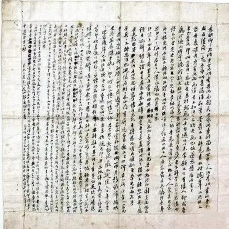 满好张张