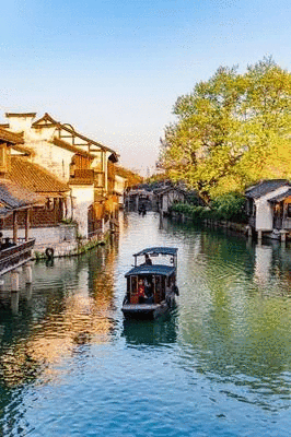 杨杨