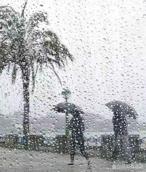 《华人文艺选刊》赵良田主编