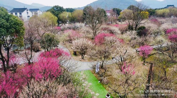 银川市诗词学会