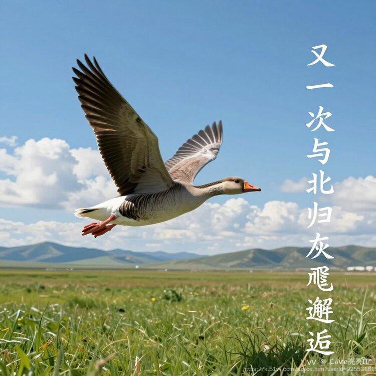 ℒℴѵℯ亮亮ꦿ໊ོ °