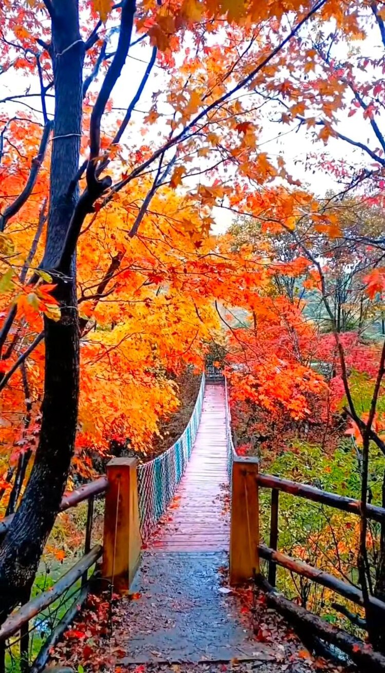 雪儿🎤V娱热点