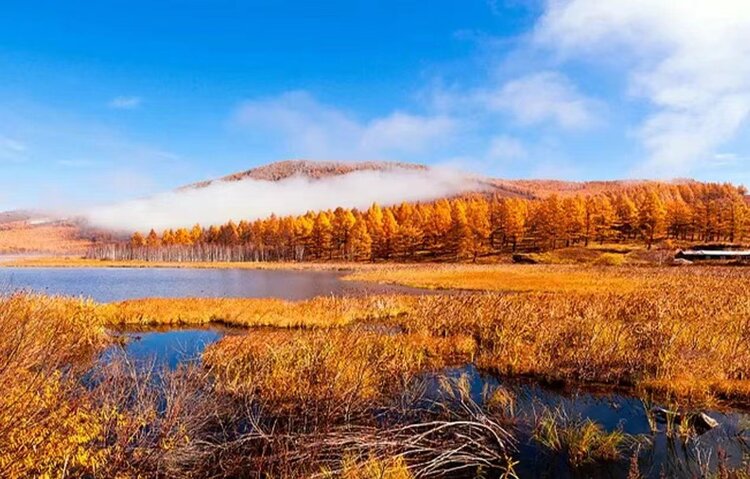 雪儿🎤V娱热点