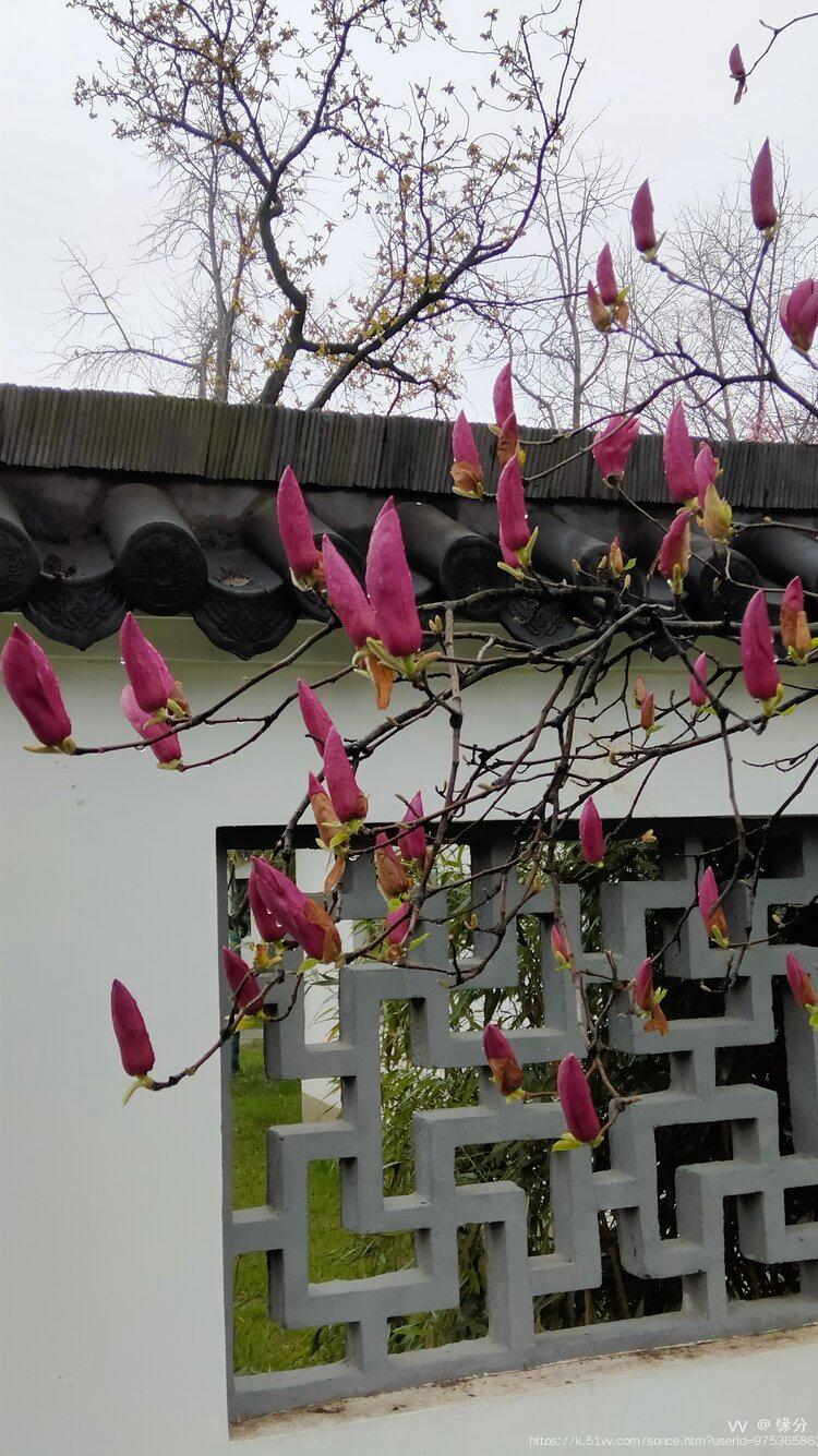 缘分