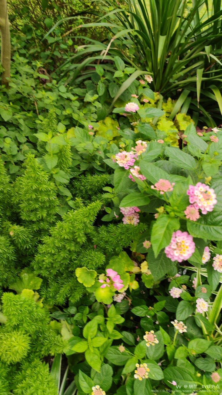 纳兰＿🎤V娱热点