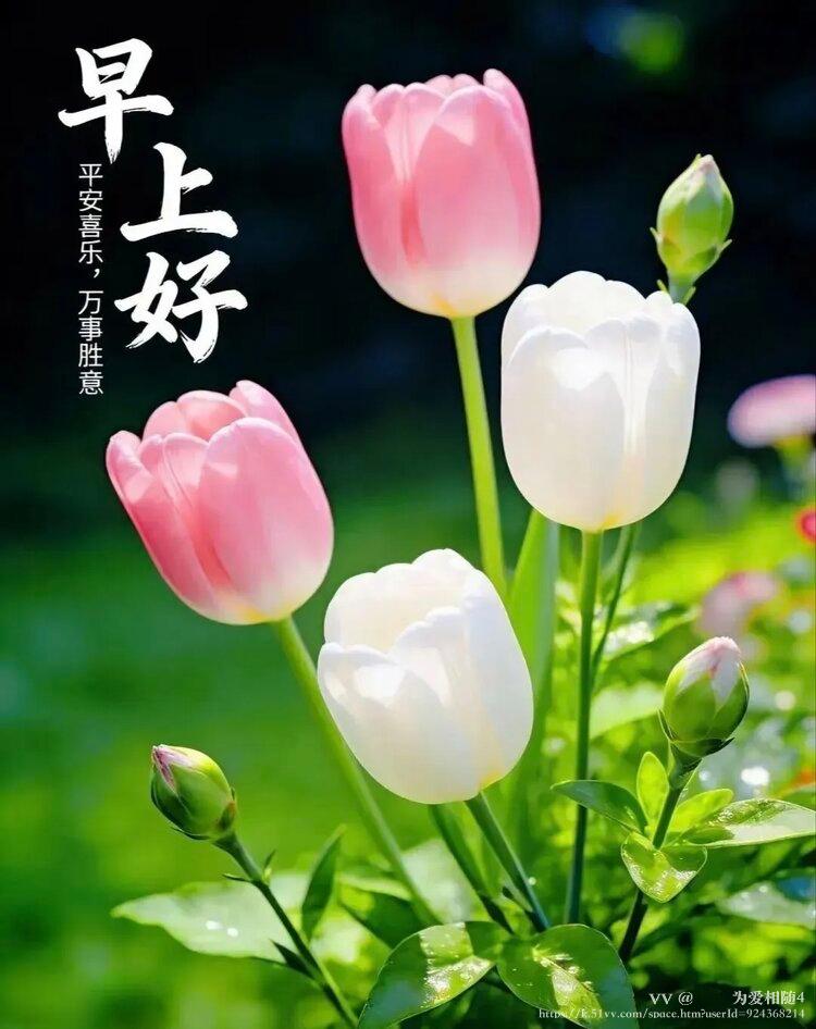 🌹🌹为爱相随4
