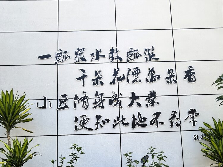 ₅₂₀斌哥⁶⁶⁶