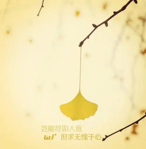 若梦如初 🍸豪族副族长
