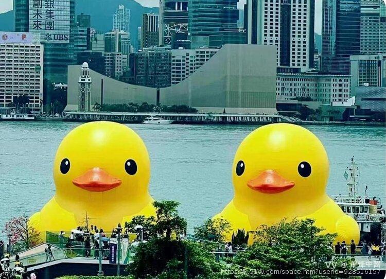 萧锋中醫