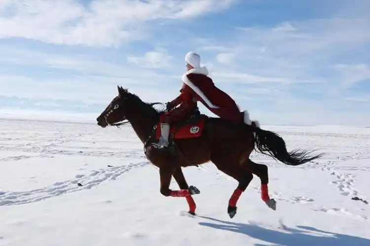 《华人文艺选刊》赵良田主编