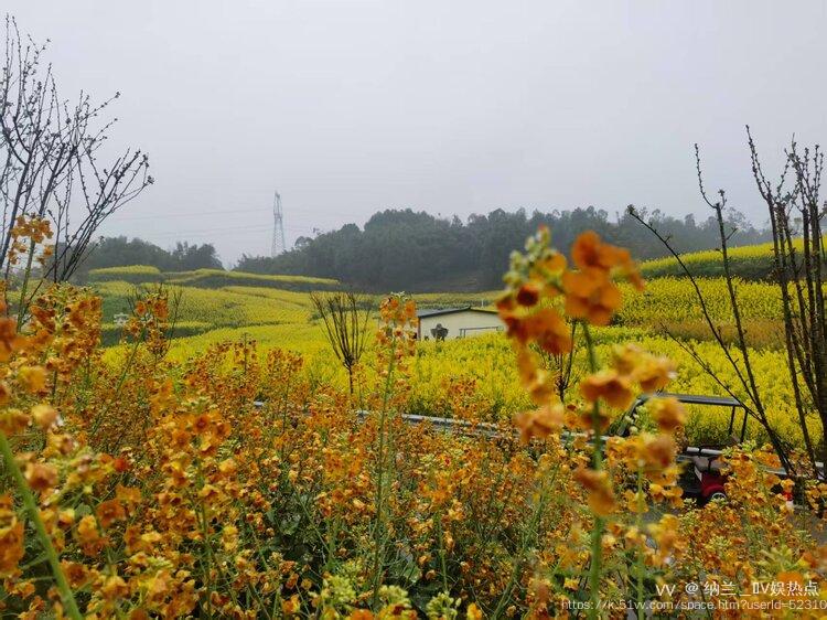 纳兰＿🎤V娱热点