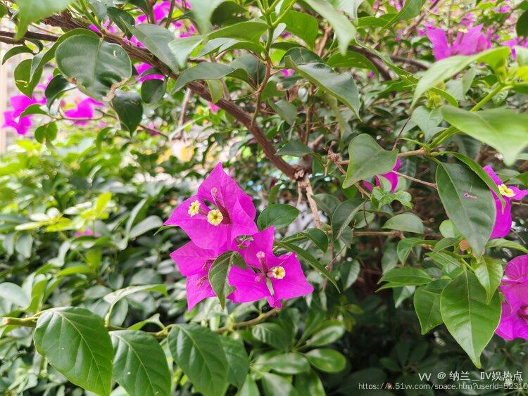 纳兰＿🎤V娱热点