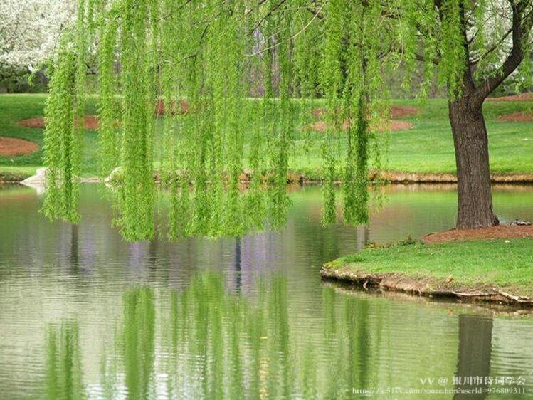 银川市诗词学会