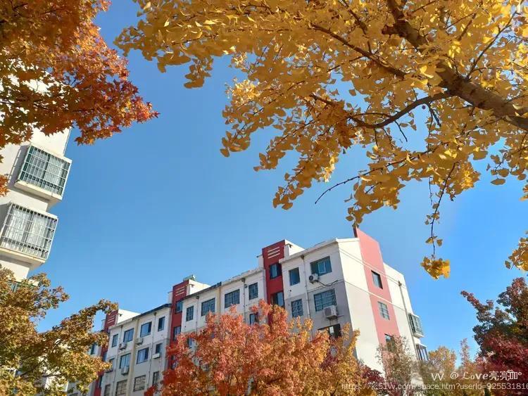 ℒℴѵℯ亮亮ꦿ໊ོ °