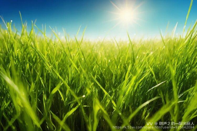 朗声之韵—阳光丽人