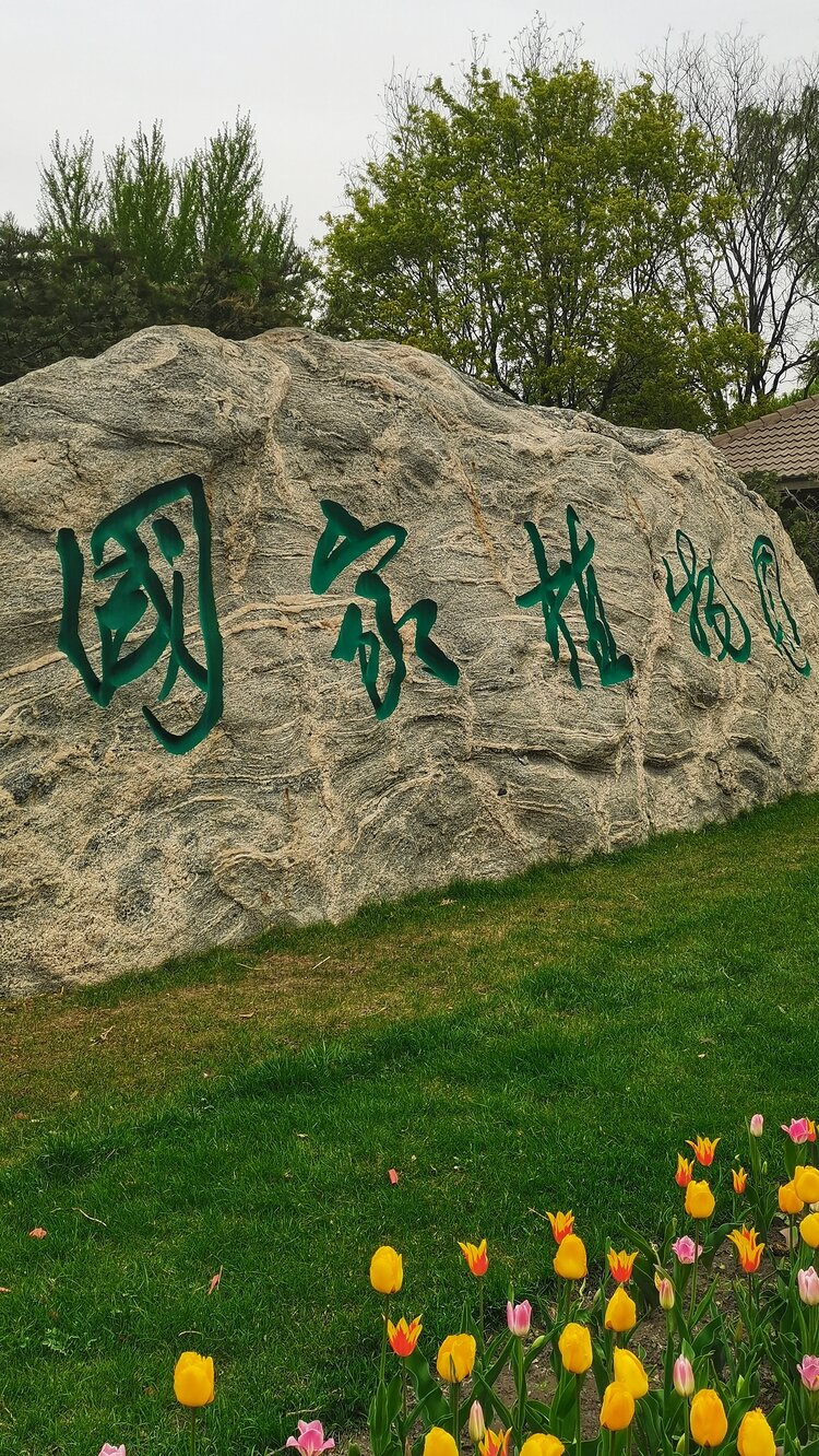 郭炳光【文声汇影】