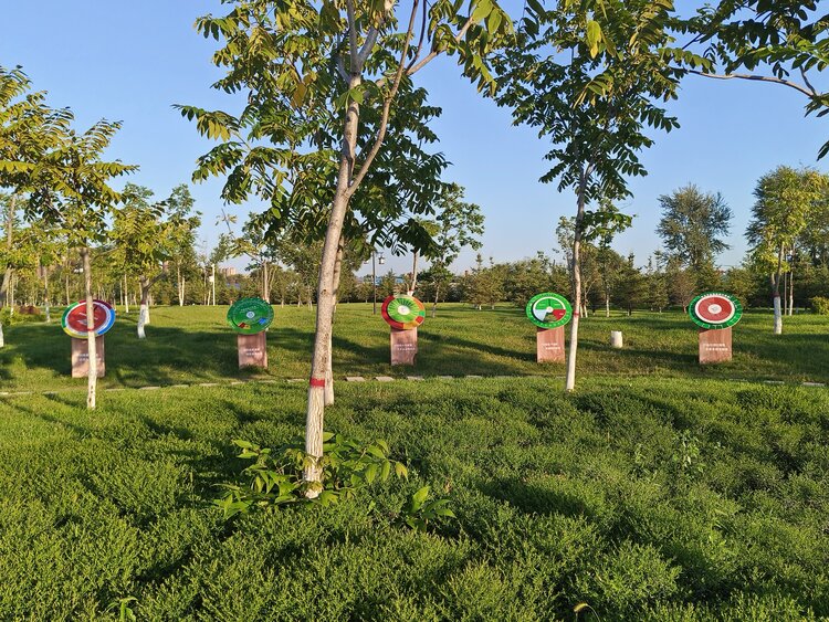 雪儿🎤V娱热点