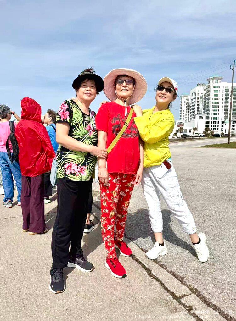 海鲡紫⚓️游子之音