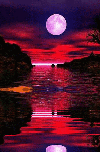 喵星ⓜ¹泰屾誏