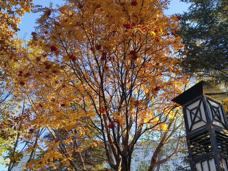 雪儿🎤V娱热点