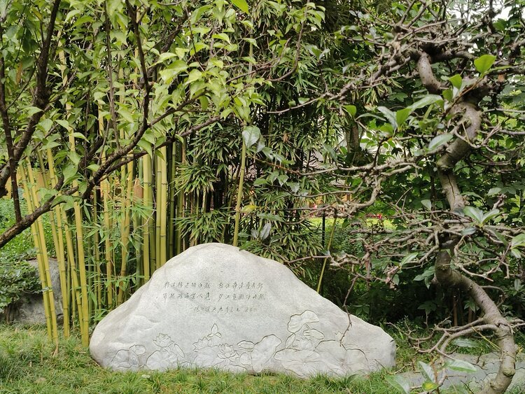 雪儿🎤V娱热点