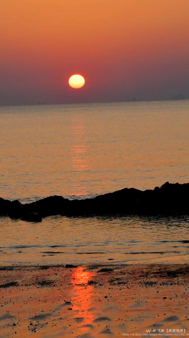 飞鱼【美摄视界】