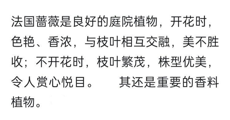 七月雨【美摄视界】 