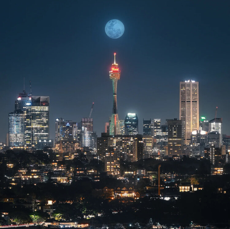澳洲世界华人公会