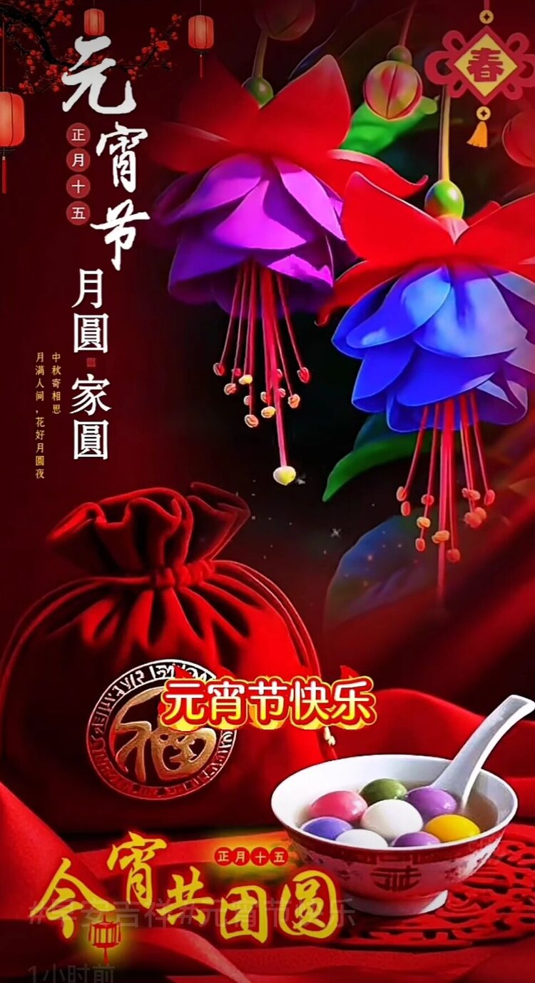🌹🌹为爱相随2