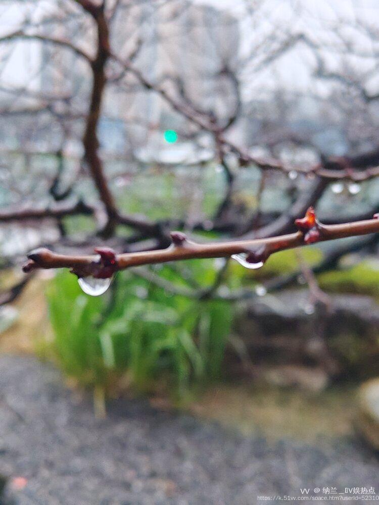 纳兰＿🎤V娱热点