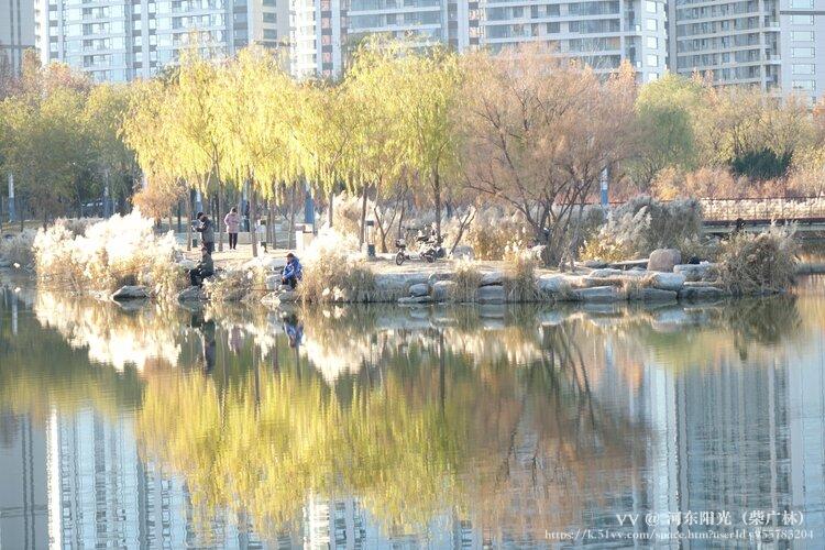 河东阳光（柴广林）