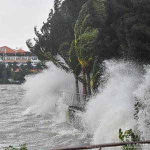 萧锋中醫