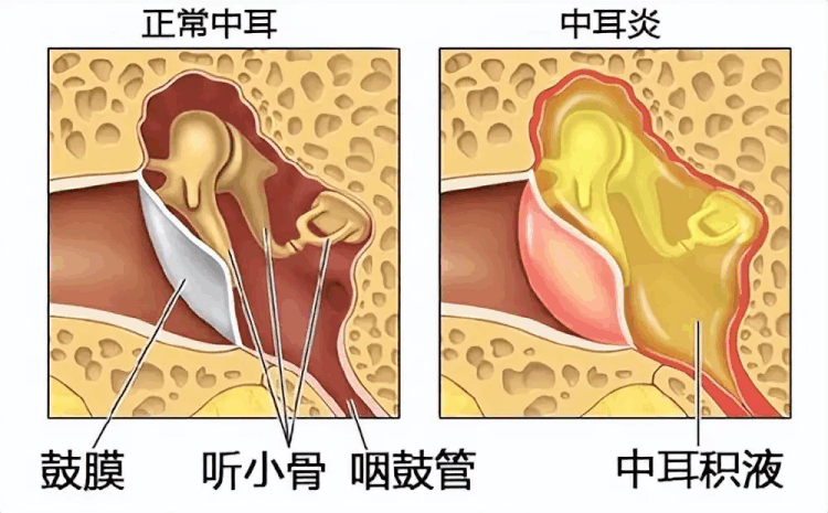 敏🍸豪族