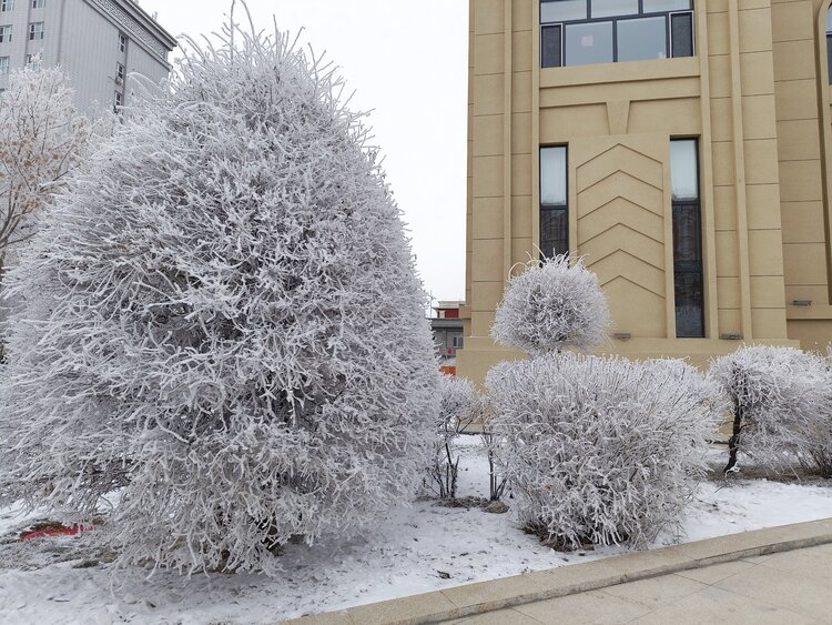 雪儿🎤V娱热点