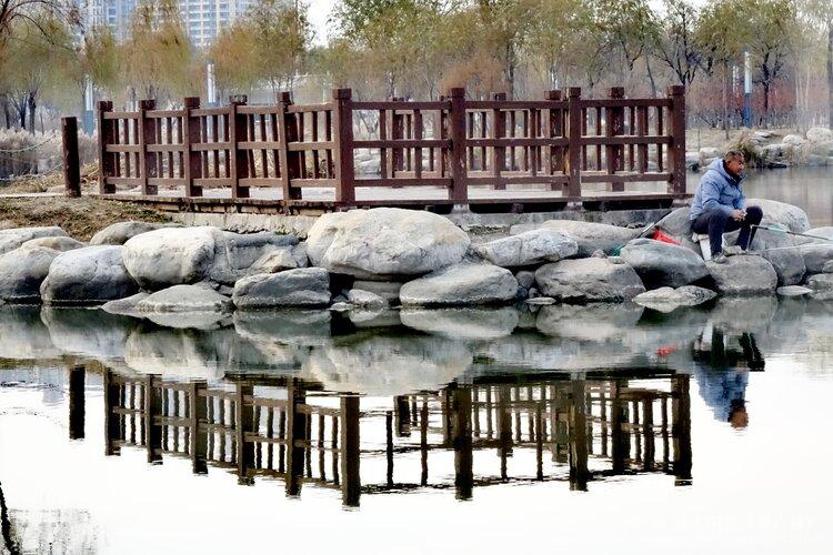 河东阳光（柴广林）