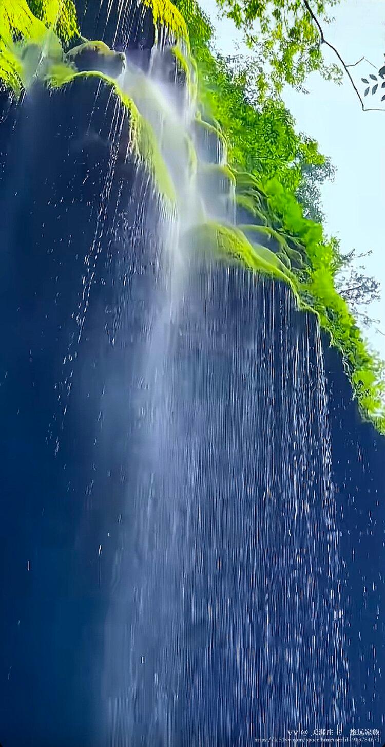 天涯庄主🌅悠远家族