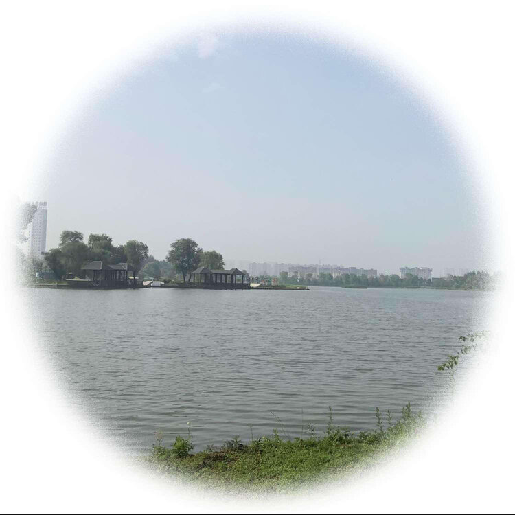 青士李振汉