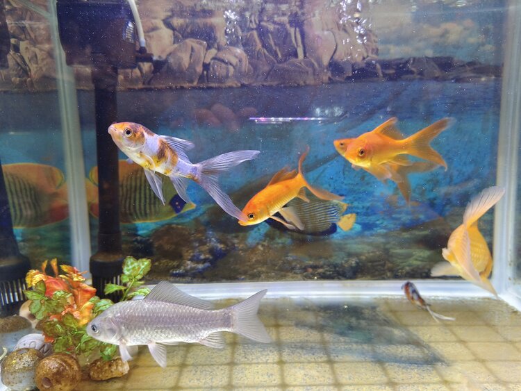 雪儿🎤V娱热点