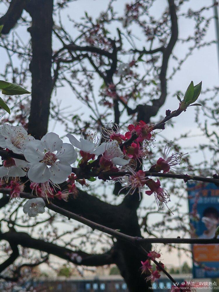 纳兰＿🎤V娱热点