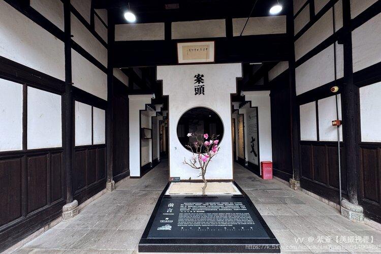 紫萱【美摄视界】